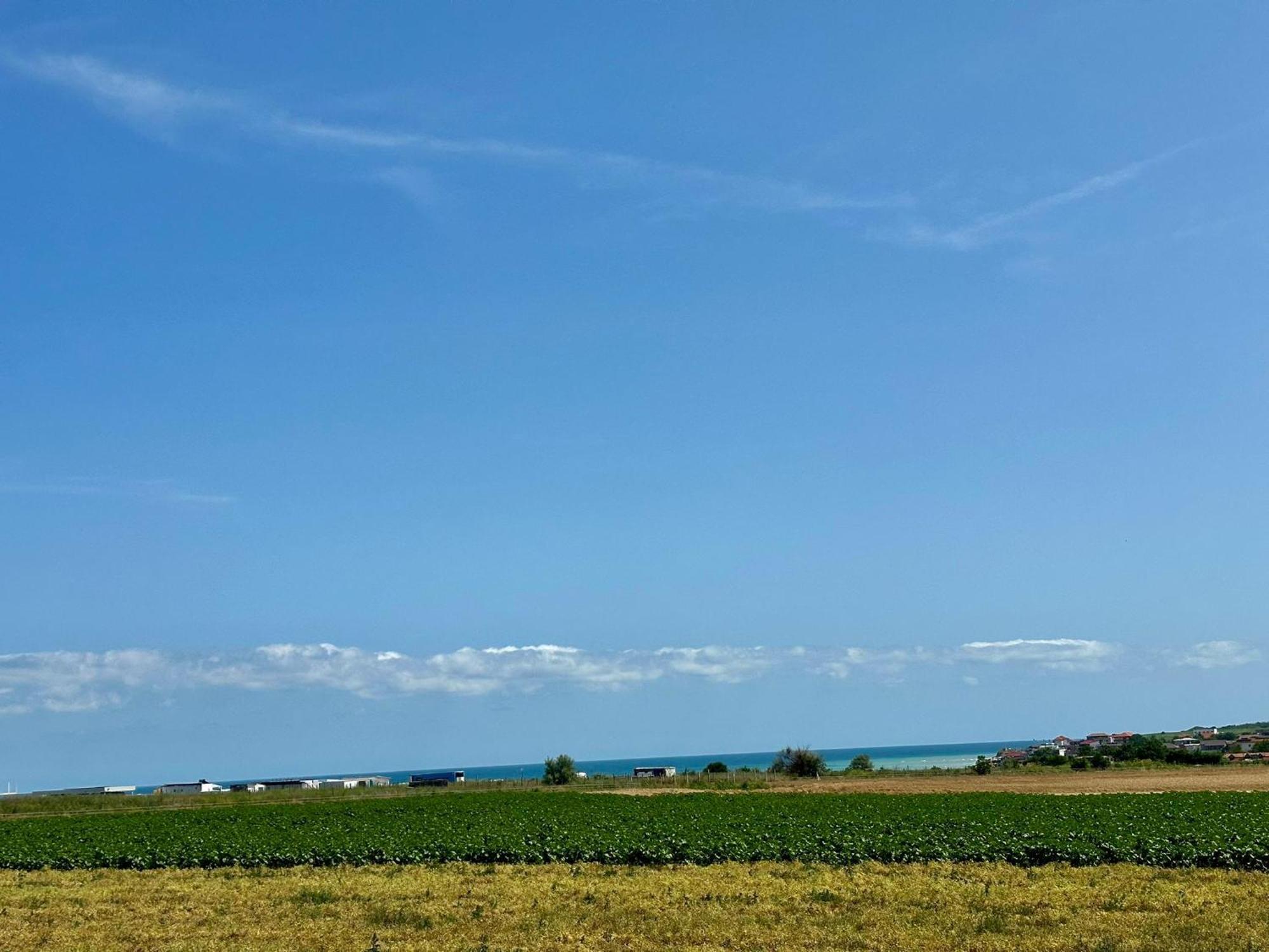 Vila Carmen Vama Veche Dış mekan fotoğraf